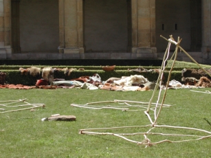 Muse saint remi reims les 30 ans