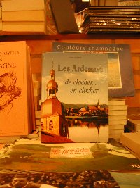 littérature rémoise, et champenoise, auteurs régionnaux auteur, ecrivain champagne, mots, gisèle bienne, reims, livres, ecriture région , régionalisme