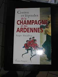 auteur, ecrivain champagne, mots, gisle bienne, reims, livres, ecriture rgion , rgionalisme