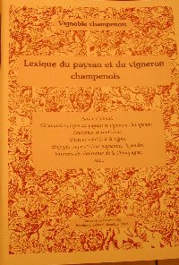 auteur, ecrivain champagne, mots, gisle bienne, reims, livres, ecriture rgion , rgionalisme