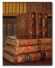 littérature rémoise, et champenoise, auteurs régionnaux auteur, ecrivain champagne, mots, gisèle bienne, reims, livres, ecriture région , régionalisme