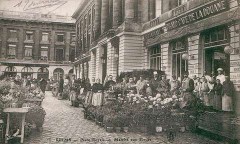 March aux fleurs place Royale   Reims