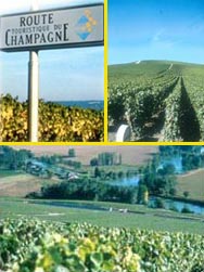 Route du champagne