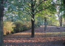 Bord de Vesle  Reims