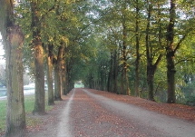 Bord de Vesle  Reims