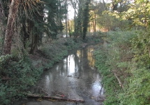 Bord de Vesle  Reims