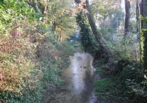 Bord de Vesle  Reims