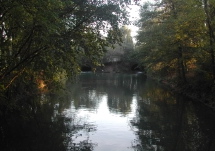 Bord de Vesle  Reims